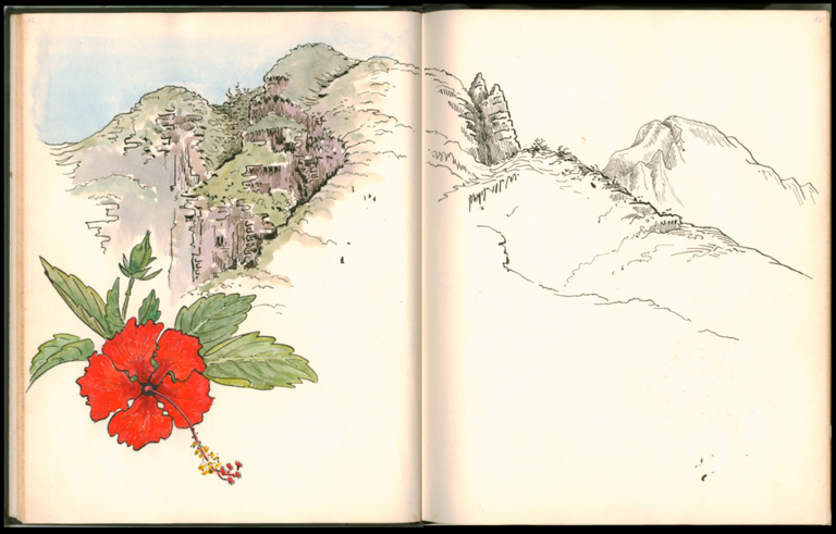 1kauai7a.jpg