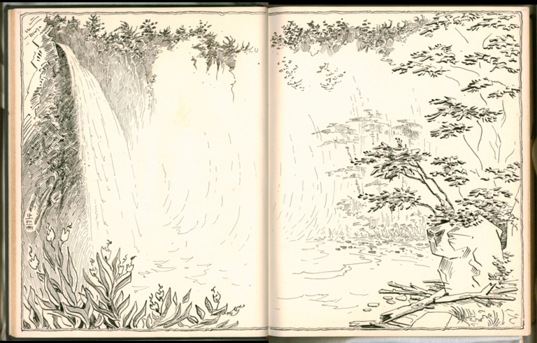 1kauai8.jpg